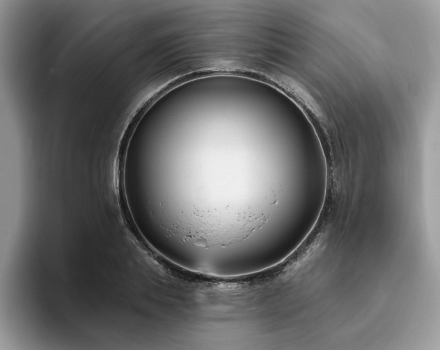X0000094070839200710191118