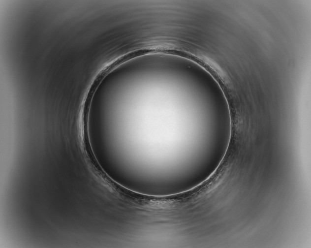 X0000094070840200710191118