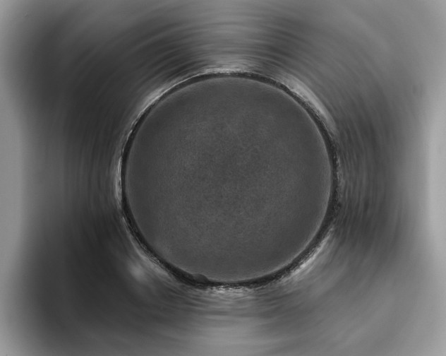 X0000094070842200710191118