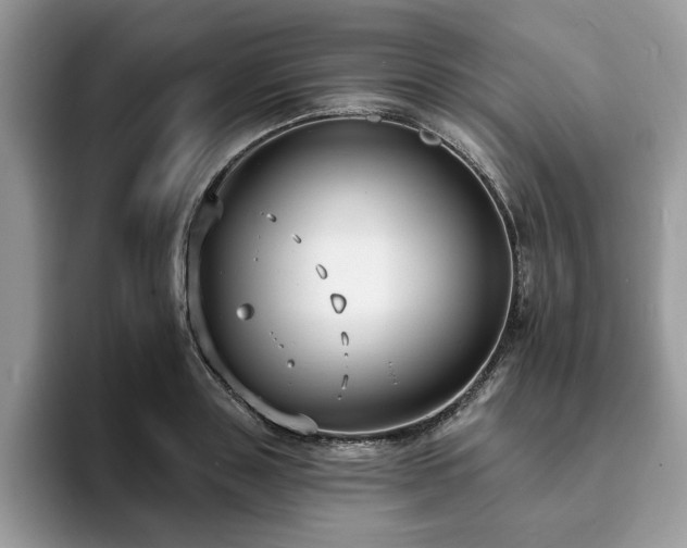 X0000094070843200710191118