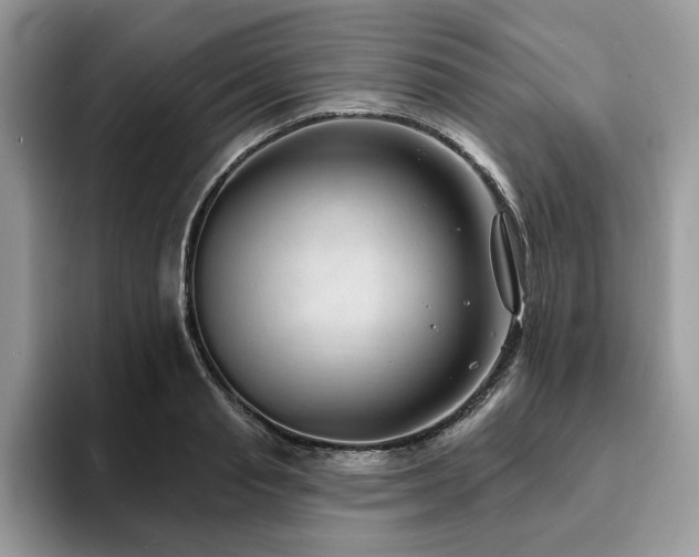 X0000094070845200710191118
