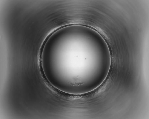 X0000094070846200710191118