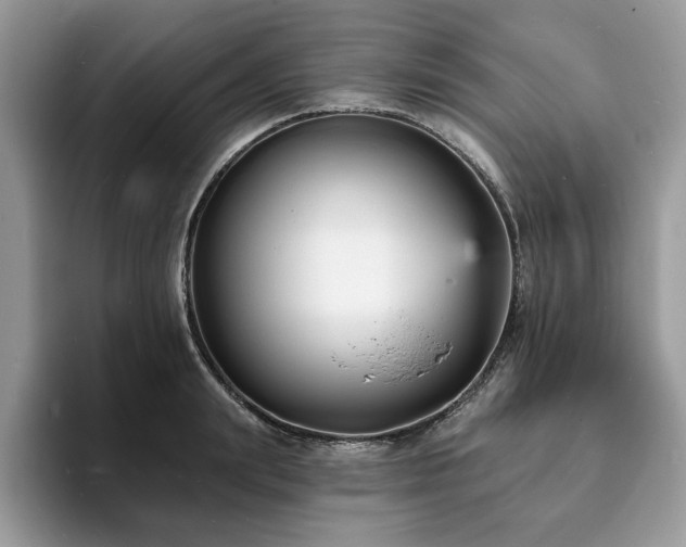 X0000094070847200710191118