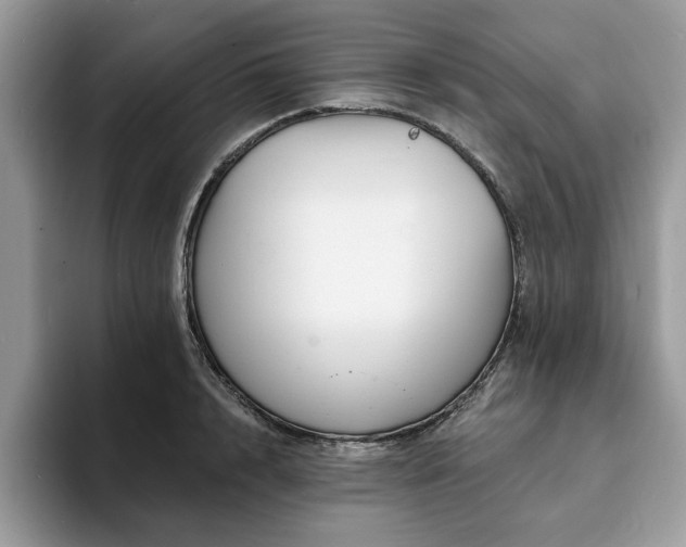 X0000094070848200710191118