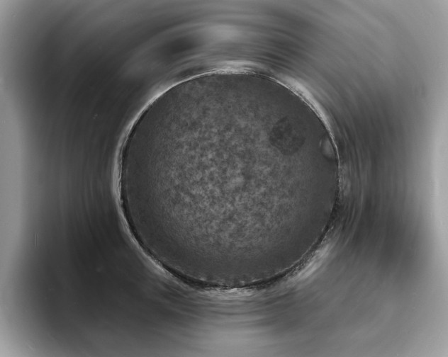 X0000094070851200710191118