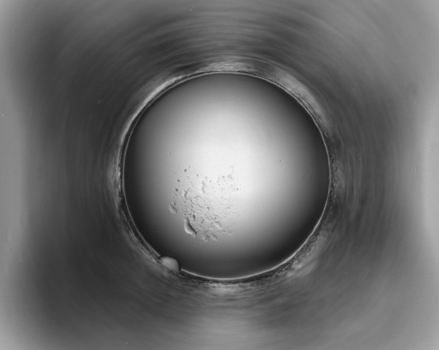 X0000094070852200710191118