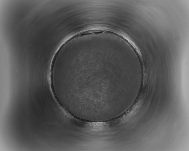 X0000094070853200710191118