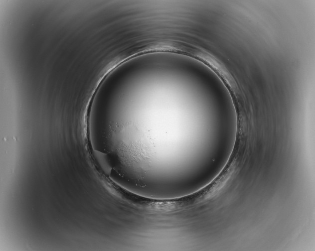 X0000094070858200710191118