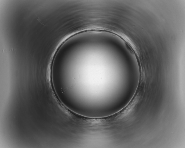 X0000094070862200710191118