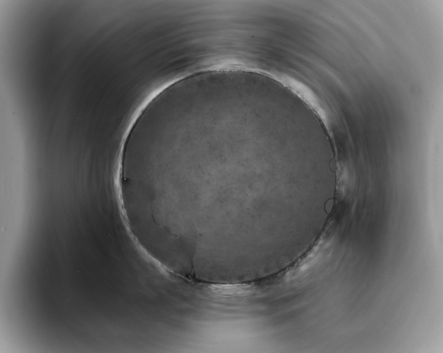 X0000094070863200710191118