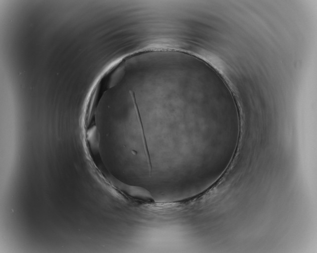 X0000094070864200710191118