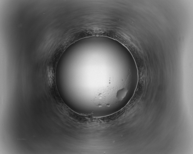 X0000094070866200710191118