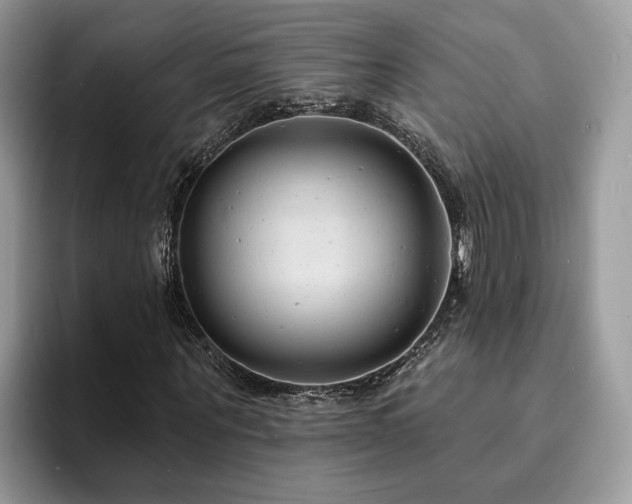 X0000094070867200710191118