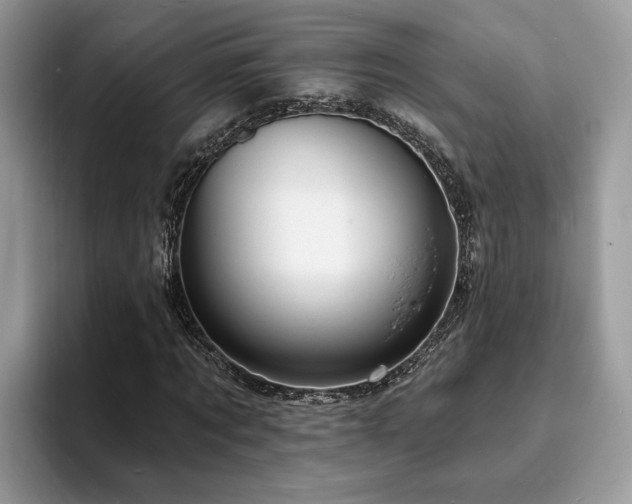 X0000094070869200710191118