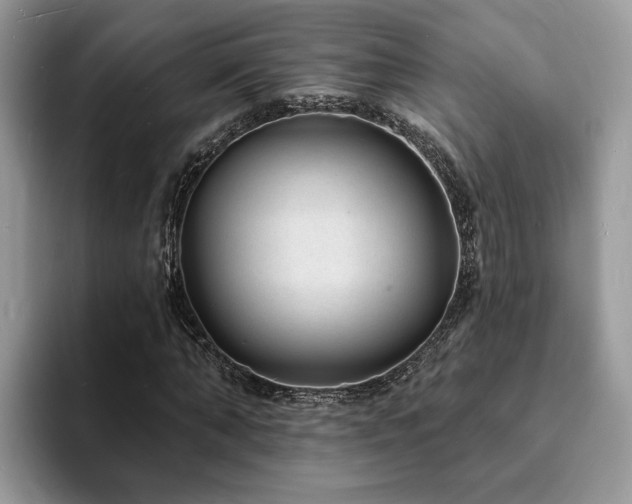 X0000094070870200710191118