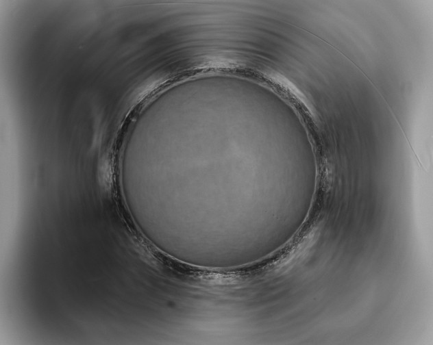 X0000094070874200710191118