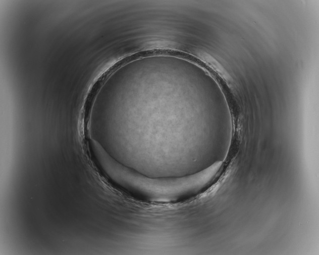 X0000094070877200710191118