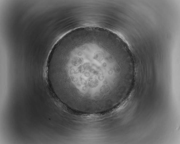 X0000094070879200710191117