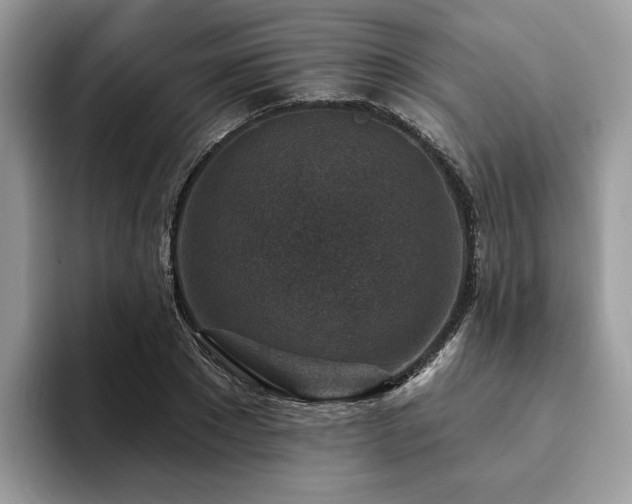 X0000094070881200710191117