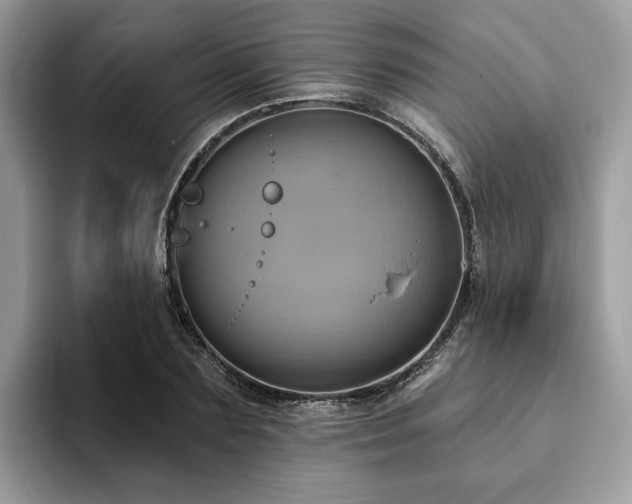 X0000094070883200710191117