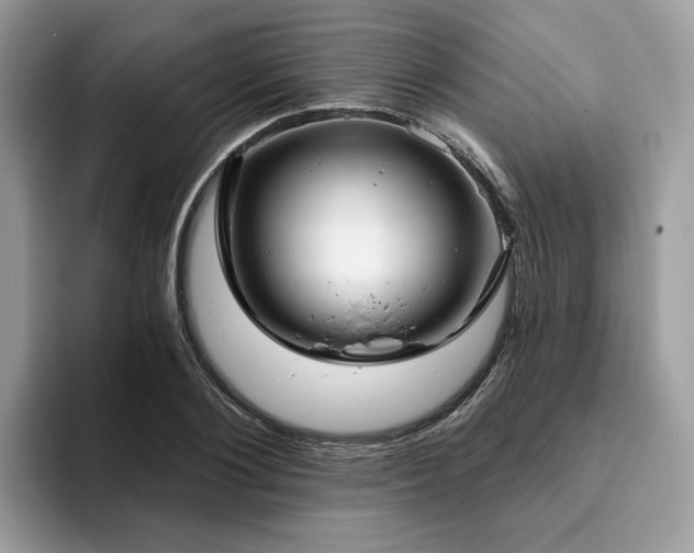 X0000094070884200710191117