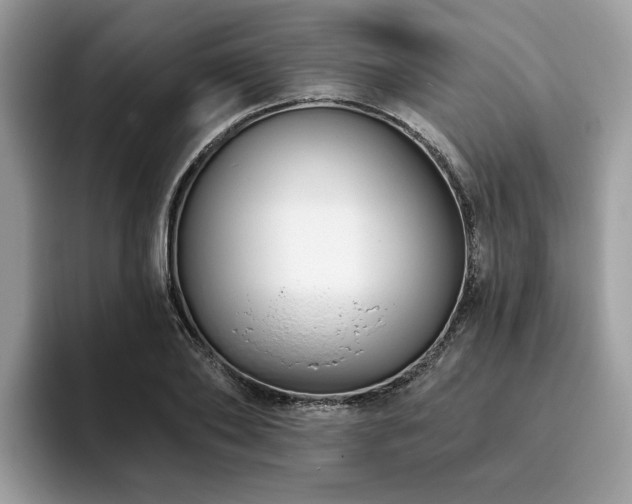 X0000094070886200710191117