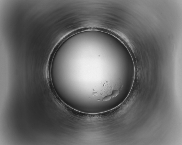 X0000094070887200710191117