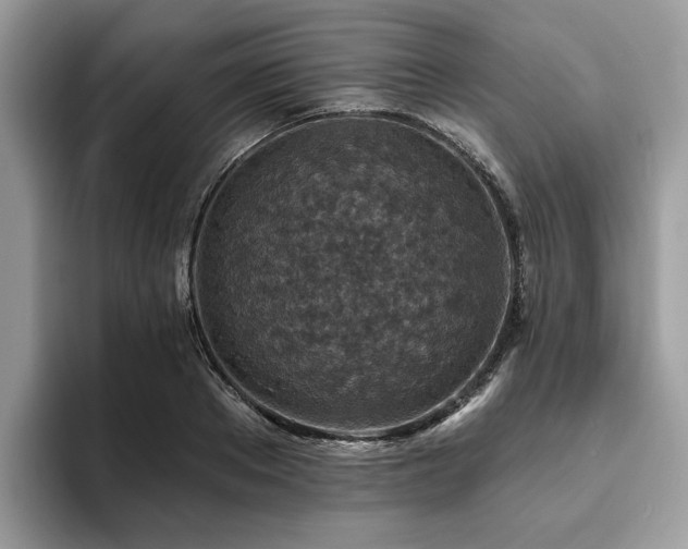 X0000094070889200710191117
