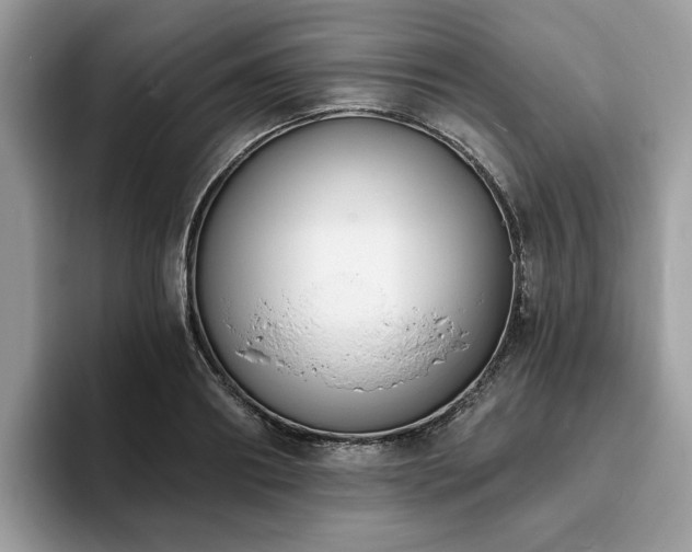X0000094070890200710191117