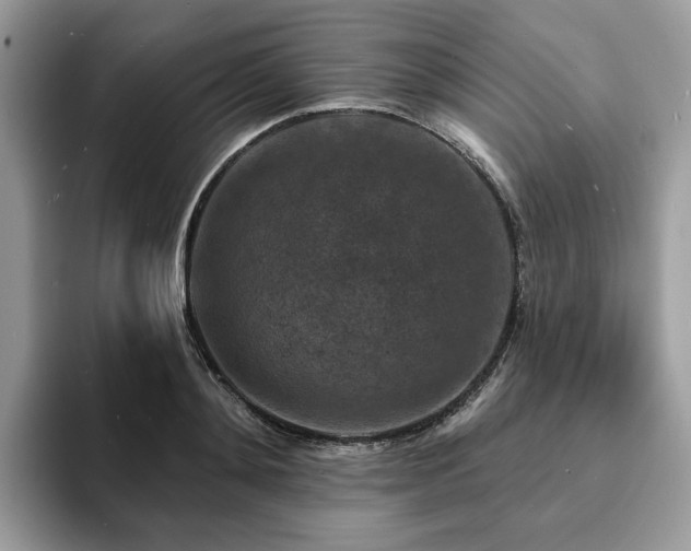 X0000094070892200710191117