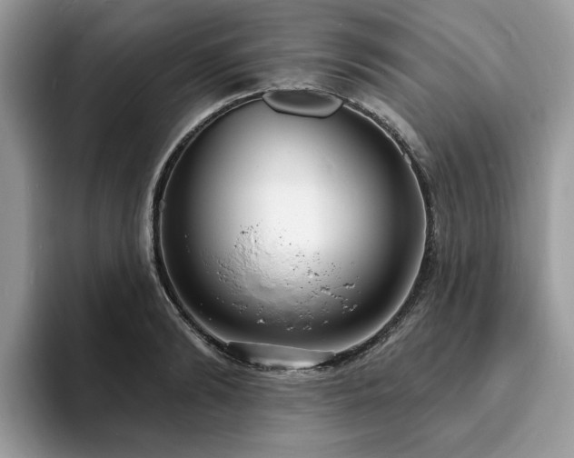 X0000094070894200710191117