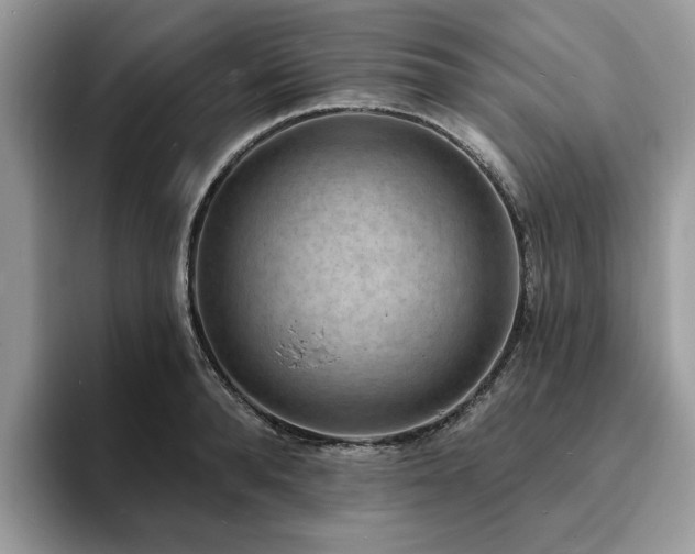 X0000094070896200710191117