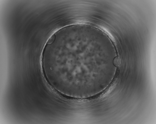 X0000094070899200710191117