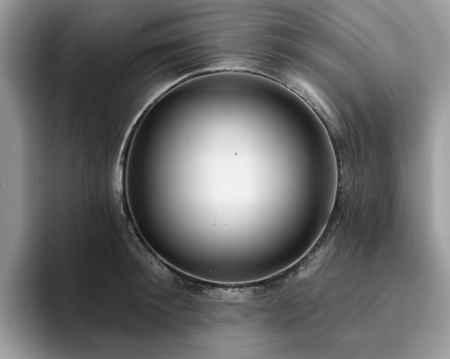 X0000094070900200710191117