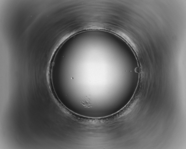 X0000094070901200710191117