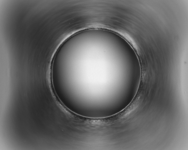 X0000094070903200710191117