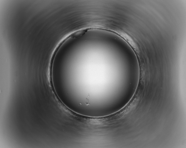 X0000094070904200710191117