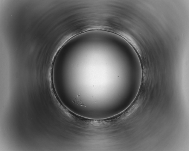 X0000094070906200710191117