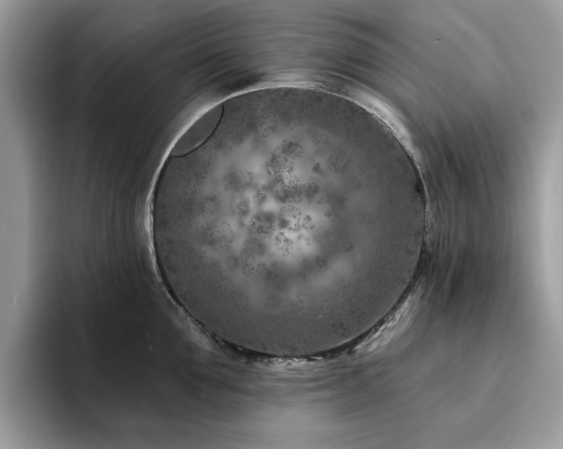 X0000094070907200710191117