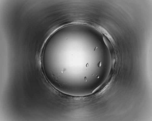 X0000094070908200710191117