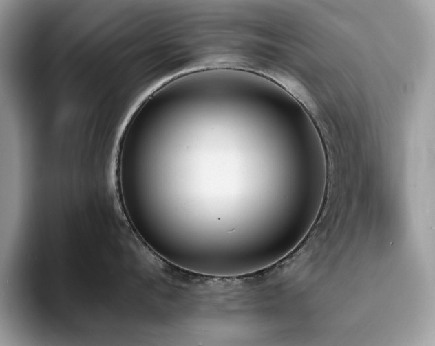 X0000094070912200710191117