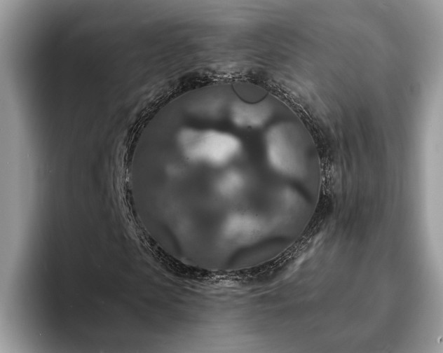 X0000094070913200710191117