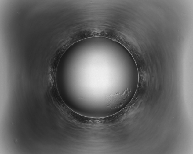 X0000094070914200710191117