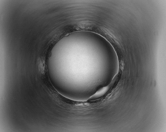 X0000094070915200710191117