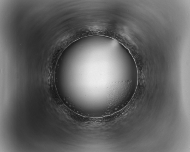 X0000094070917200710191117