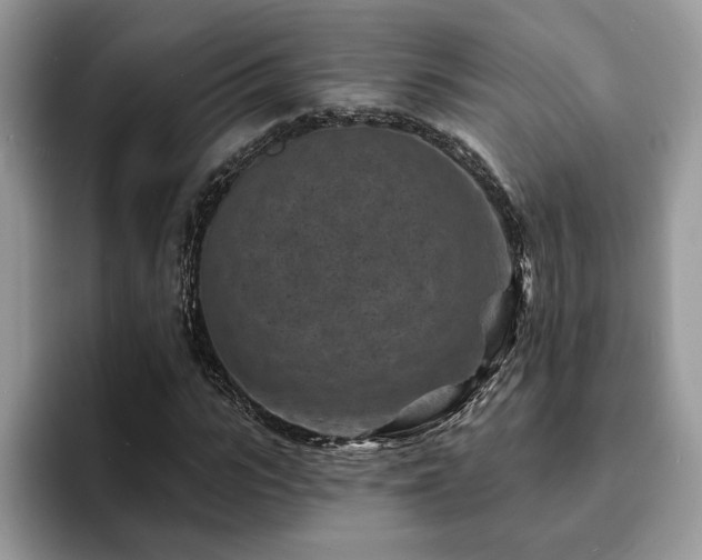 X0000094070919200710191117