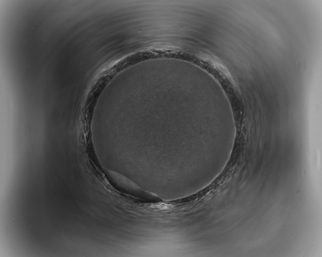 X0000094070920200710191117