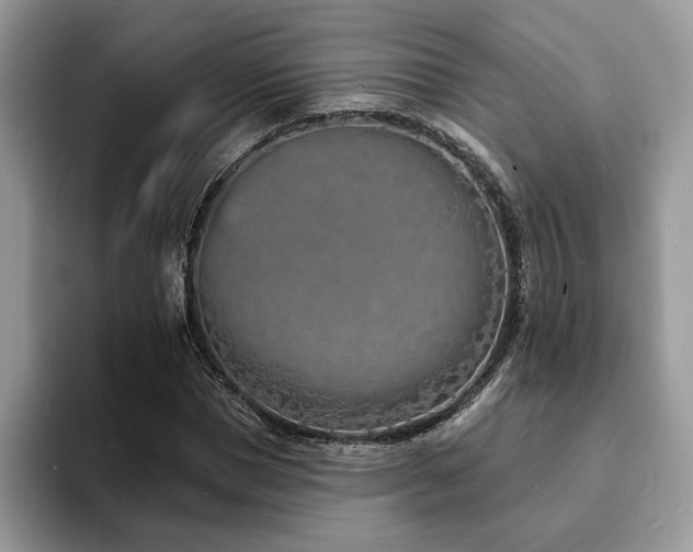 X0000094070921200710191117