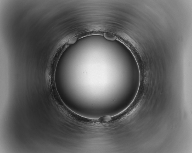 X0000094070922200710191117