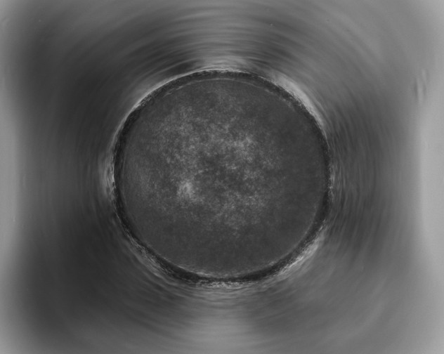 X0000094070923200710191117